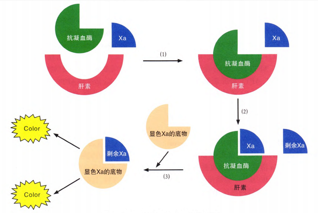 國產(chǎn)抗Xa質(zhì)量如何？多中心臨床研究來告訴你！